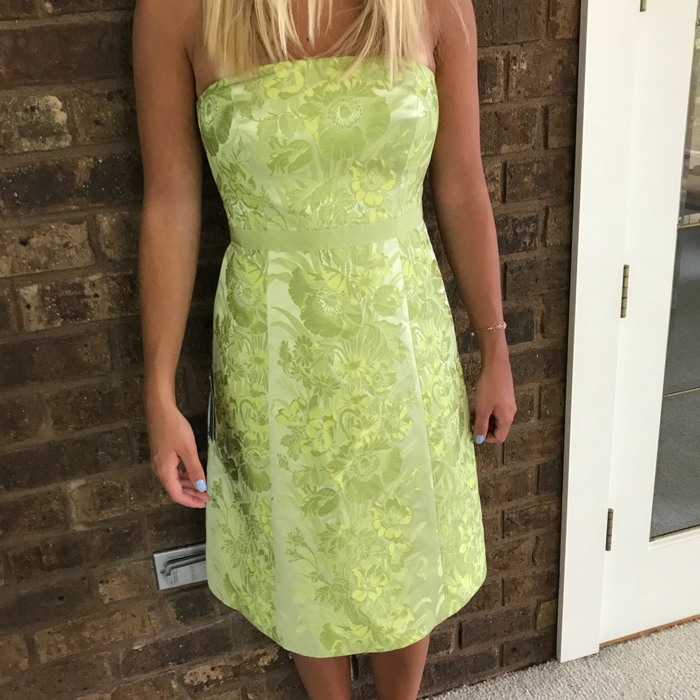 Ann Taylor green summer dress